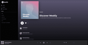 Hari Bhandari- Spotify Clone